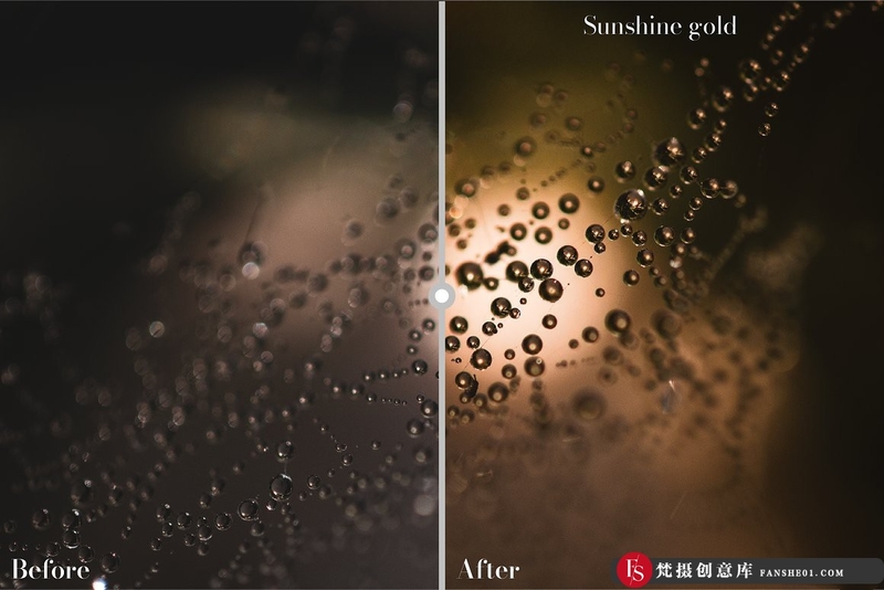 图片[6]-[风光LR预设]26个秋季微距风光金色调Lightroom预设 Golden Lightroom Presets-梵摄创意库