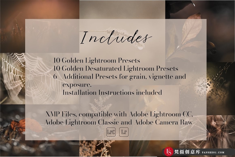 图片[9]-[风光LR预设]26个秋季微距风光金色调Lightroom预设 Golden Lightroom Presets-梵摄创意库