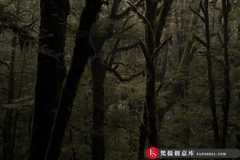 [风光LR预设]风光摄影大师 William Patino 风光后期戏剧性光线Lightroom预设+ACR预设