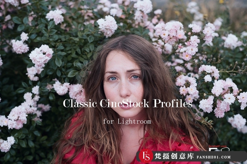 [胶片LR预设]TheClassicPresets经典胶卷Lightroom配置文件ClassicCineStockProfiles-梵摄创意库