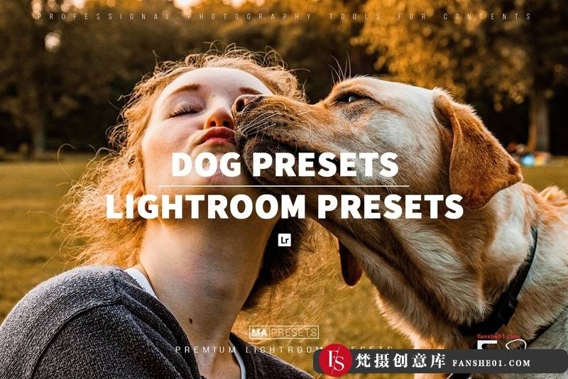 [胶片LR预设]宠物狗摄影后期调色LR预设10DOG–Mobile&DesktopLightroomPresets-梵摄创意库