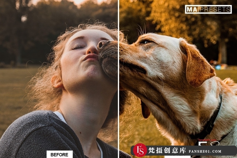 图片[7]-[胶片LR预设]宠物狗摄影后期调色LR预设10DOG–Mobile&DesktopLightroomPresets-梵摄创意库