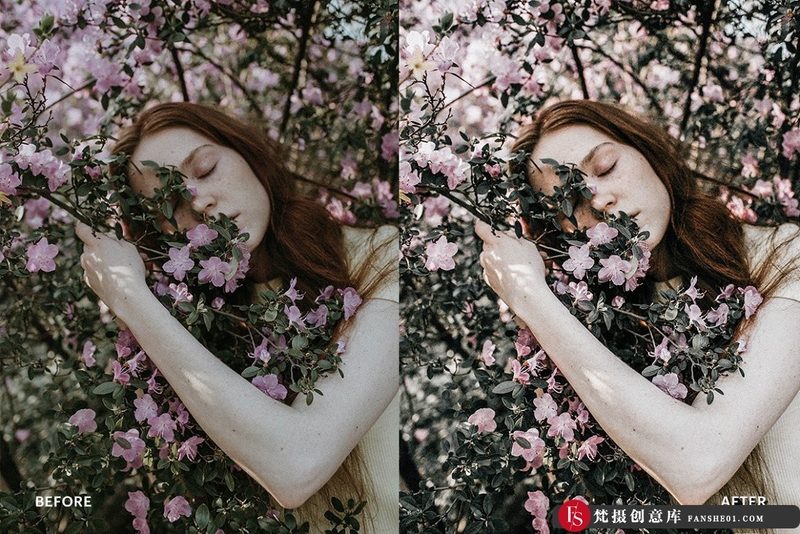 [胶片LR预设]INS风人像自然田园胶片风格LR预设LightroomPreset-EarthToneTheme