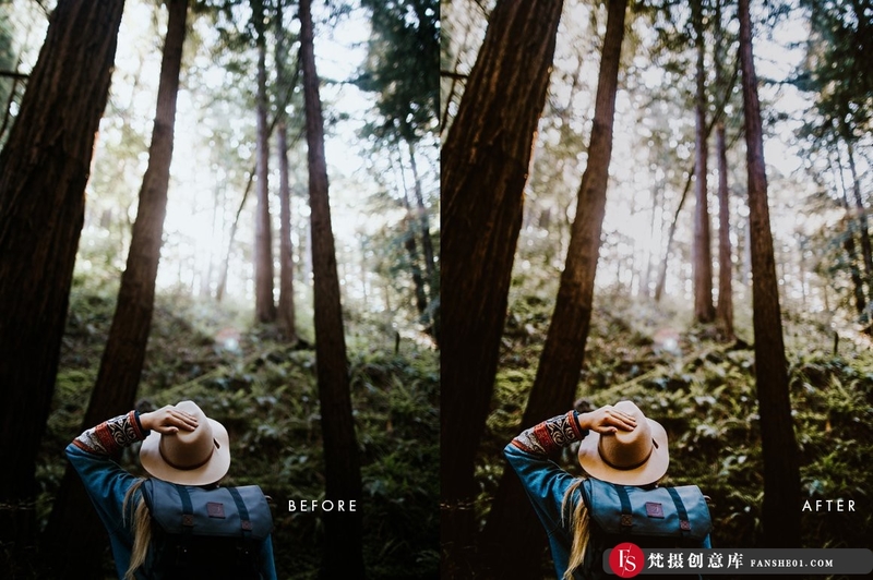 图片[10]-[胶片LR预设]柯达胶卷电影胶片Lightroom预设KodakFilmLightroom&ACRPresets-梵摄创意库