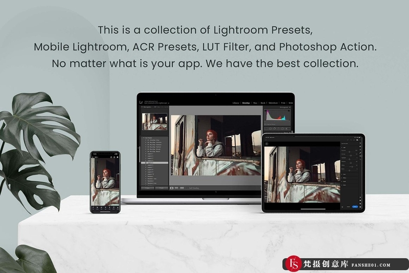 [胶片LR预设]老式胶片人像Lightroom预设及LUT预设 Vintage Lightroom Photoshop LUTs