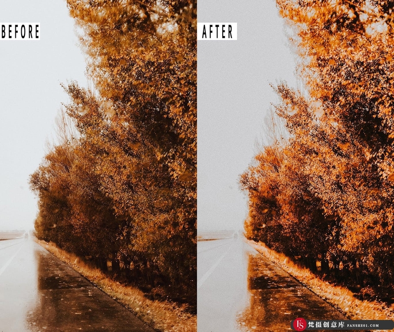 图片[2]-[胶片LR预设]浓郁秋季色彩胶片人像Lightroom预设AutumnPhotoshopAction&LightromPresets-梵摄创意库