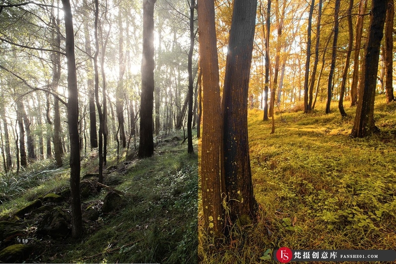 图片[7]-[旅拍LR预设]INS风秋季色调旅拍风光人像LR预设+移动APP预设 4 Autumn Lightroom Presets-梵摄创意库