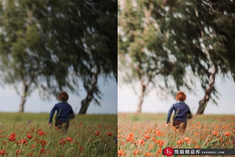 [旅拍LR预设]春暖花开春季旅拍风光人像LR预设+移动APP调色滤镜 4 Spring Lightroom Presets