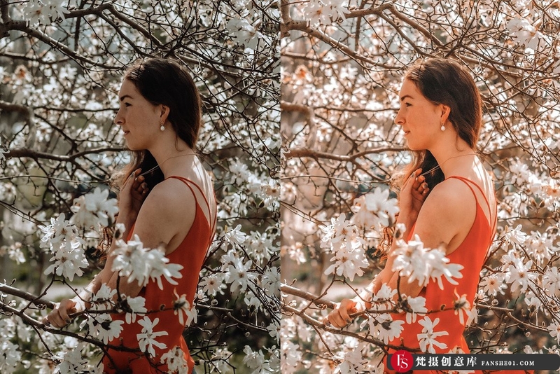 [旅拍LR预设]春暖花开春季旅拍风光人像LR预设+移动APP调色滤镜 4 Spring Lightroom Presets