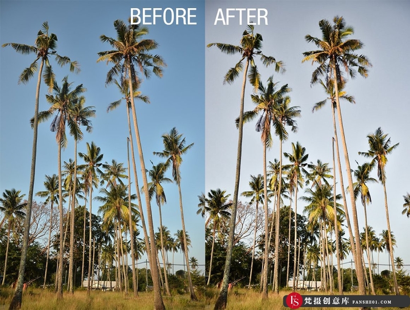 图片[2]-[旅拍LR预设]热带海滩旅拍人像风光LR预设+手机 tropical beach lightroom preset-梵摄创意库