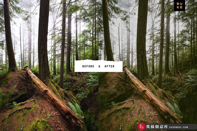 [旅拍LR预设]森系旅拍电影INS滤镜胶片LR预设 Forest Tales Lightroom Presets