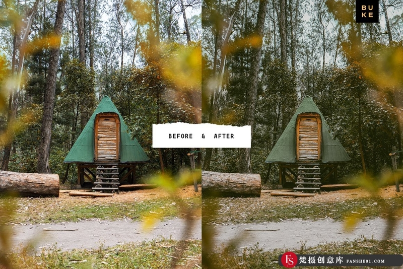 [旅拍LR预设]森系旅拍电影INS滤镜胶片LR预设 Forest Tales Lightroom Presets