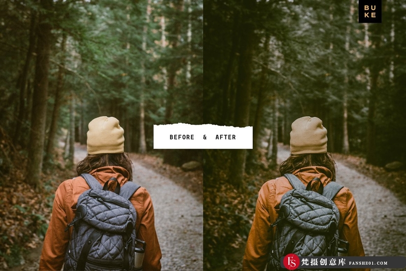 [旅拍LR预设]森系旅拍电影INS滤镜胶片LR预设 Forest Tales Lightroom Presets