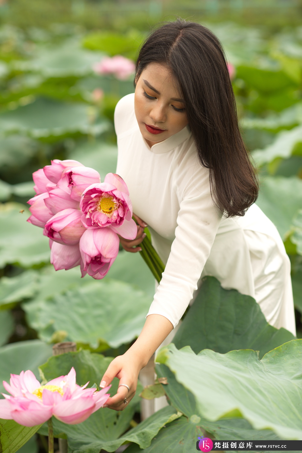 图片[4]-想练修图没有原片？荷花少女写真RAW原图来了！-梵摄创意库