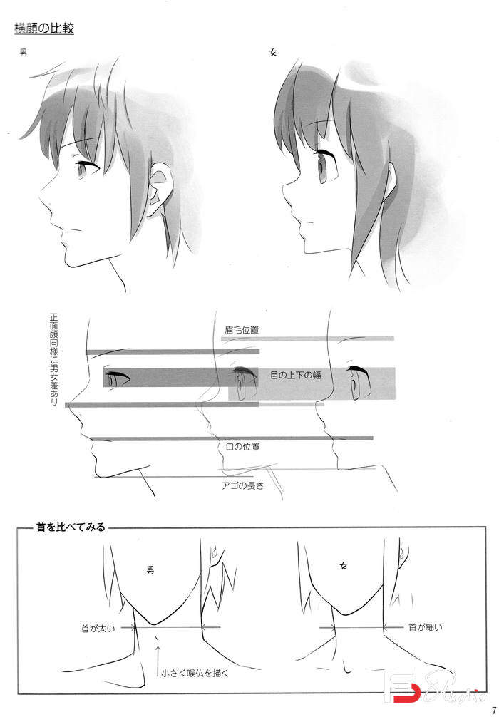 图片[7]-CZ.073- カネダ工房、角丸つぶら 萌萌两人组合的画法-创作学习-1.42GB-164P-1PDF-梵摄创意库