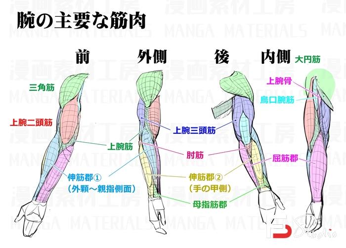 图片[6]-CZ.141- 动漫人体结构作画线稿集-创作学习专区-713MB-1089P-梵摄创意库