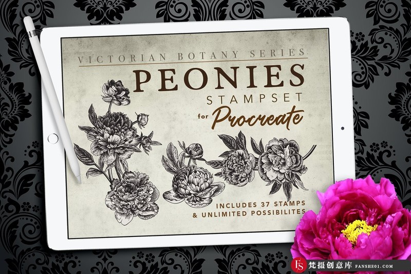 [Procreate笔刷]Procreate复古牡丹花植物图案画笔ProcreatePeoniesStampset-梵摄创意库