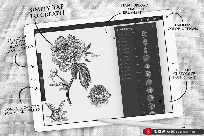 图片[4]-[Procreate笔刷]Procreate复古牡丹花植物图案画笔ProcreatePeoniesStampset-梵摄创意库