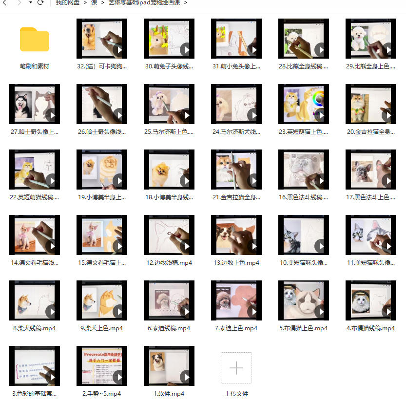 艺琳2022零基础ipad宠物绘画课【画质高清有笔刷素材】