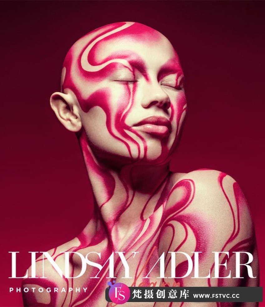 图片[1]-Lindsay Adler – Learn+第23季-Pantone潘通年度色彩2023.3洋红布光指南-梵摄创意库