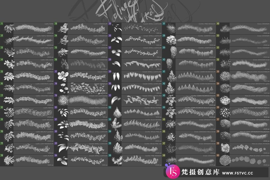 图片[6]-60种叶子和苔藓草地植物PS画笔笔刷套装 ABR和TPL格式-梵摄创意库