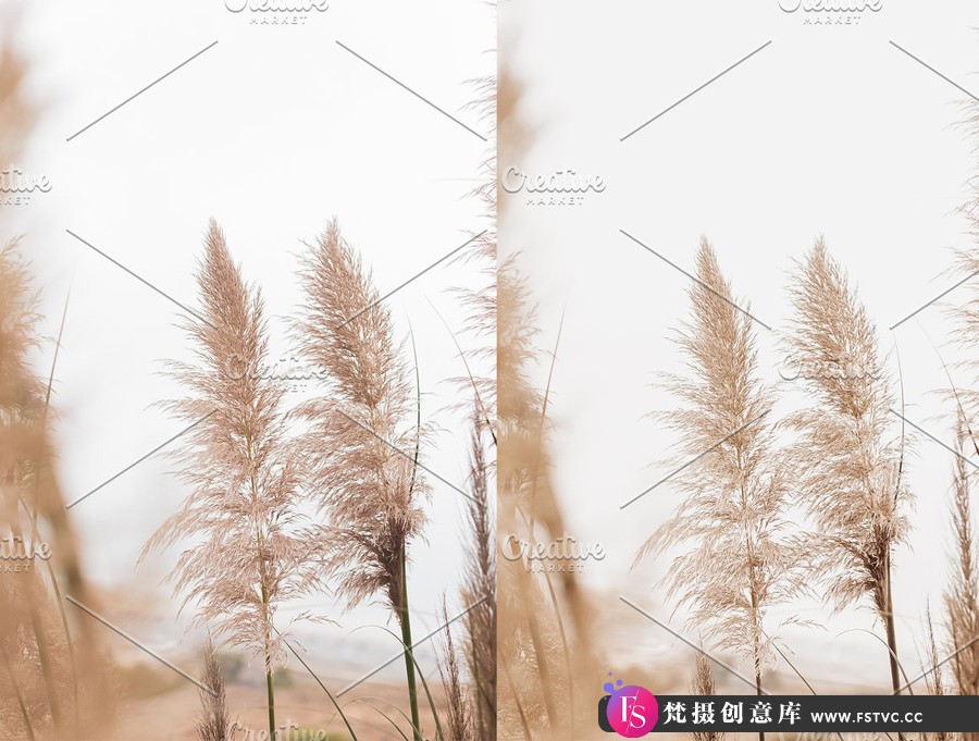 简约裸色产品人像后期Lightroom预设 Lightroom Presets Minimalist Nude