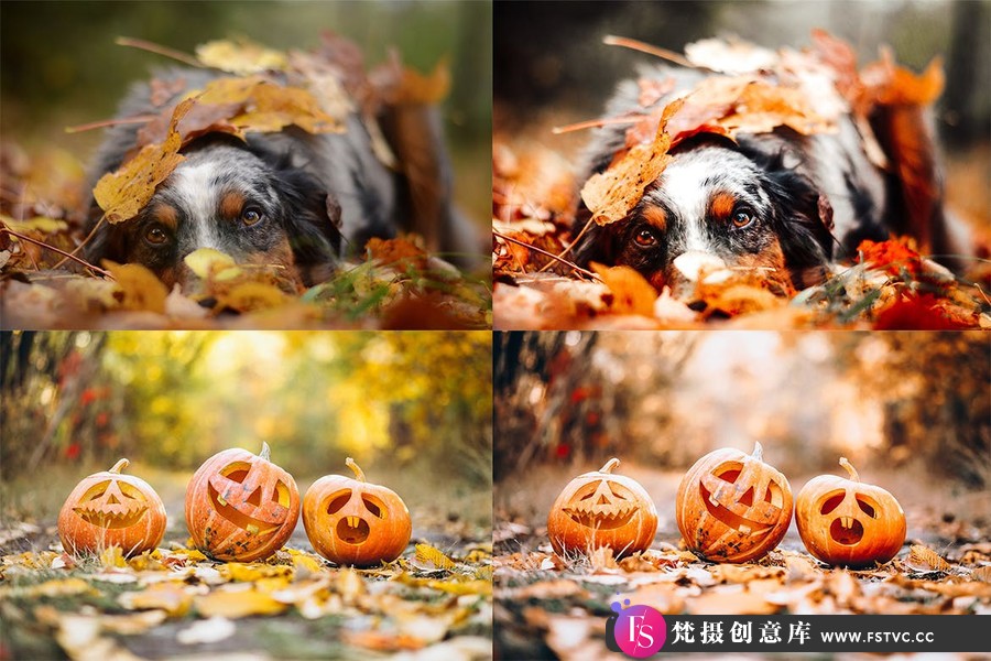 秋季电影人像风光Lightroom预设 Lightroom Presets – Cozy Fall Vol.2