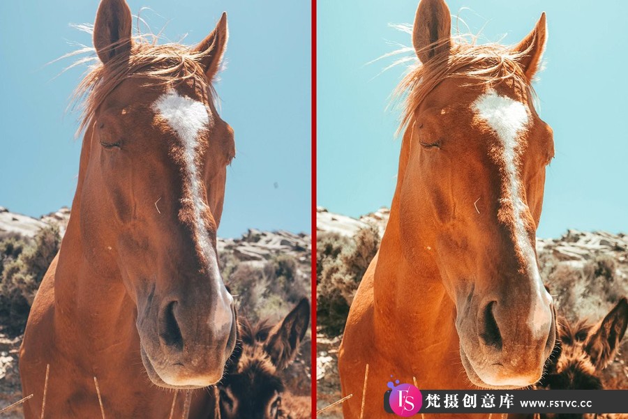 图片[3]-牛仔女王胶片人像Lightroom预设 Queen Of The RODEO | Cowgirls Preset-梵摄创意库