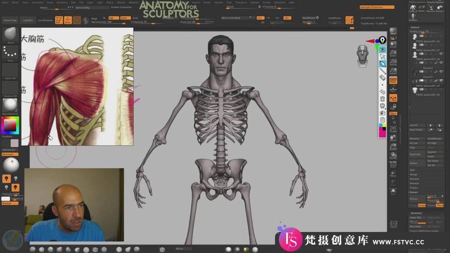 图片[2]-Zbrush教程-超人人体解剖学完整制作流程视频教程-中英字幕-梵摄创意库