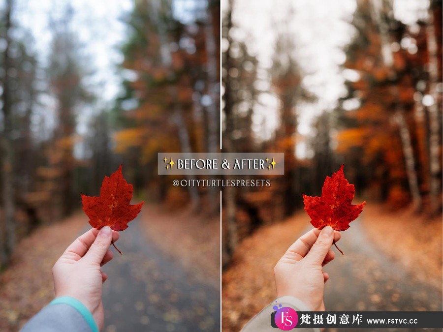 图片[4]-温暖人像后期调色Lightroom预设GOLDEN FALL Rustic Warm Lightroom Presets-梵摄创意库