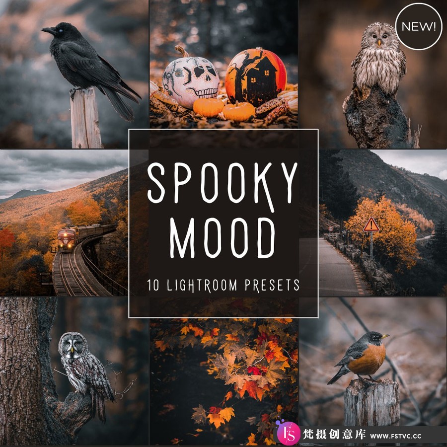魔幻电影风光摄影后期调色Lightroom预设Spooky Mood LIMITED Presets-梵摄创意库