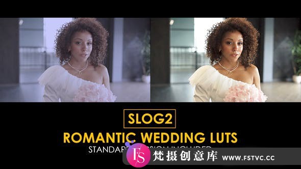 15个索尼Slog2浪漫婚礼MV视频LUT调色预设及标准Rec709LUT预设-梵摄创意库