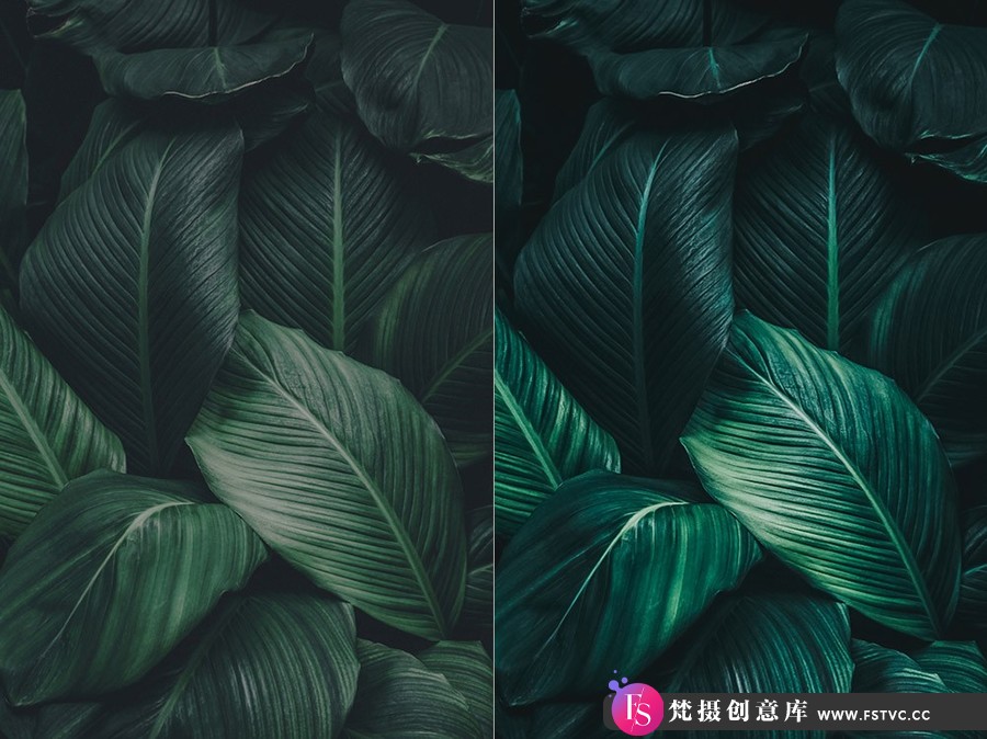 图片[2]-热带雨林旅拍电影胶片色调Lightroom预设 OnPresets – Tropical Forest-梵摄创意库