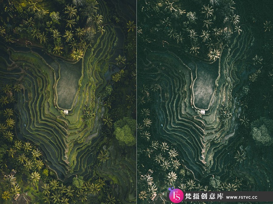 图片[3]-热带雨林旅拍电影胶片色调Lightroom预设 OnPresets – Tropical Forest-梵摄创意库