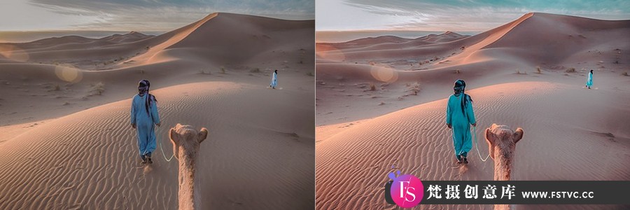 图片[3]-旅拍沙漠风光摄影后期调色Lightroom预设 OnPresets-DESERT CAMEL-梵摄创意库