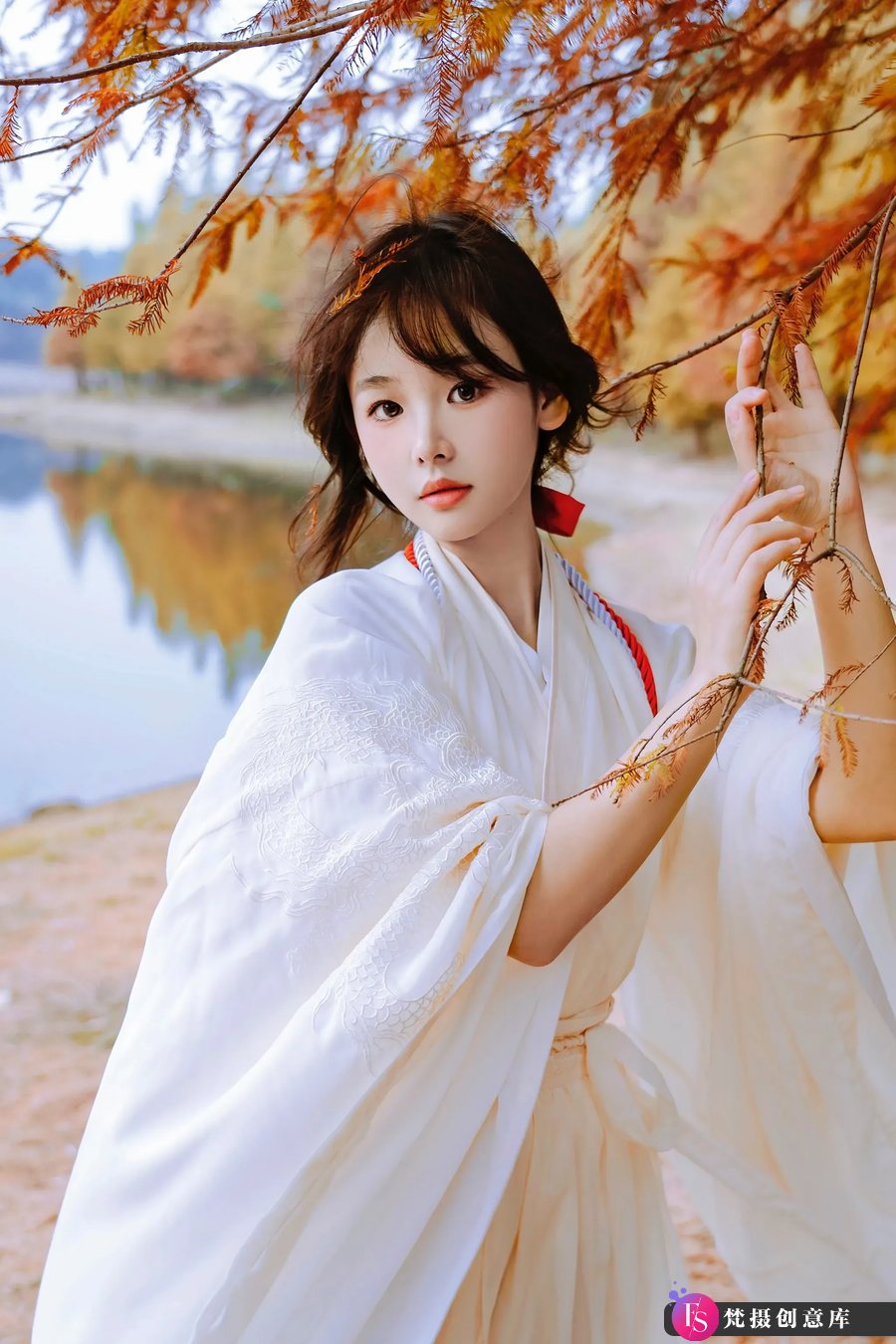 图片[4]-秋色 -摄影参考审美提升 [19P-121.07 MB]-梵摄创意库