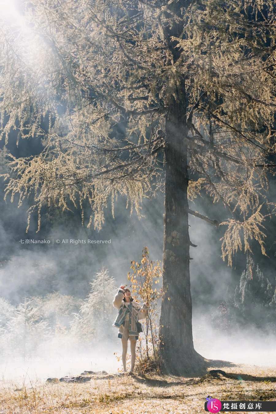 森林中的晨雾 -摄影参考审美提升 [10P-74.03 MB]-梵摄创意库