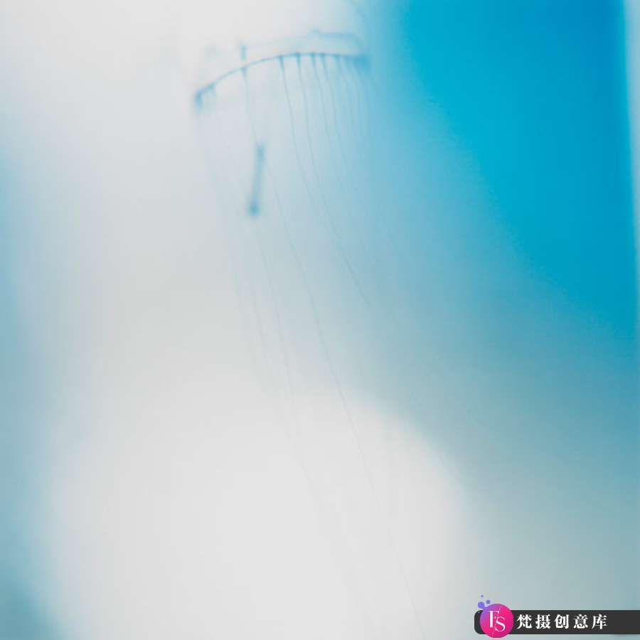 图片[6]-大师作品集-川内伦子 Rinko Kawauchi [383P-46V 523.67 MB]-摄影参考审美提升