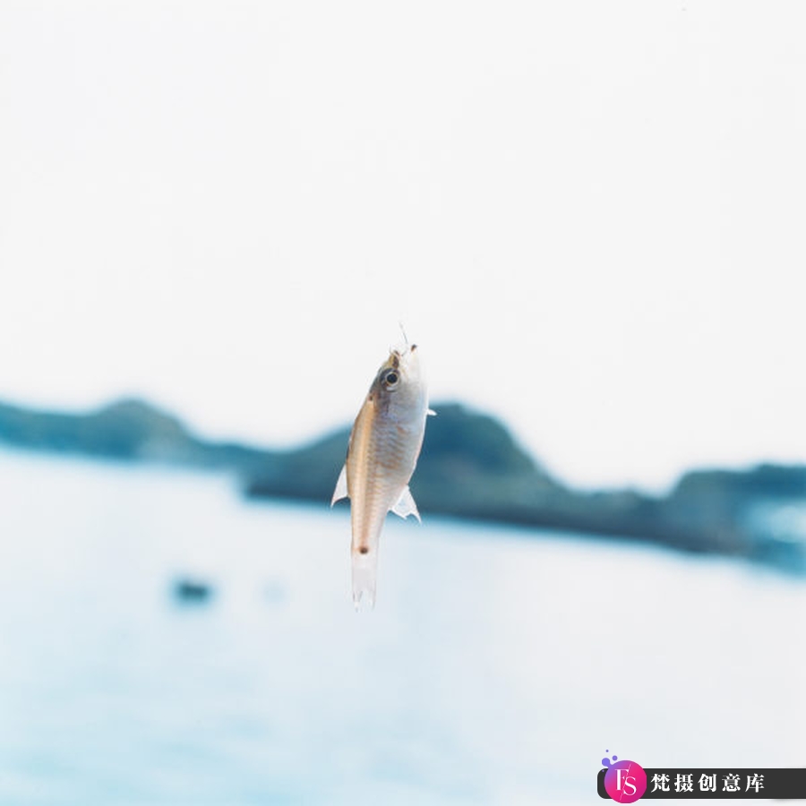 图片[9]-大师作品集-川内伦子 Rinko Kawauchi [383P-46V 523.67 MB]-摄影参考审美提升