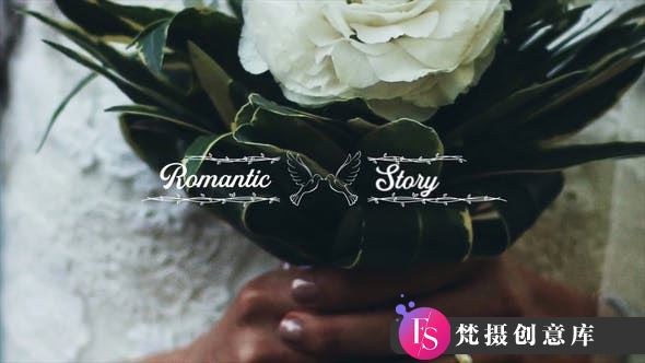 达芬奇简洁婚礼标题模版 Minimal Wedding Titles