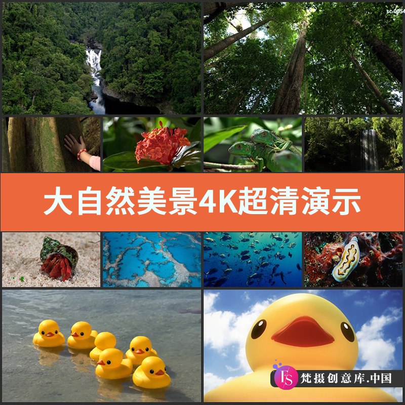 大自然美景4K超清演示片测试片森林女孩植物花卉海洋生物爬行动物-梵摄创意库