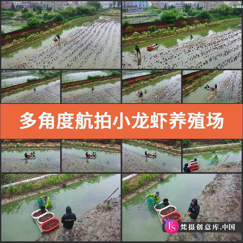 多角度航拍小龙虾养殖场收获场景4K视频素材农业水产河道美食