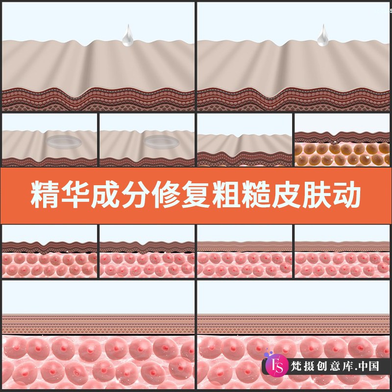 精华成分修复粗糙皮肤动画视频素材化妆品医学玻尿酸真皮细胞代谢