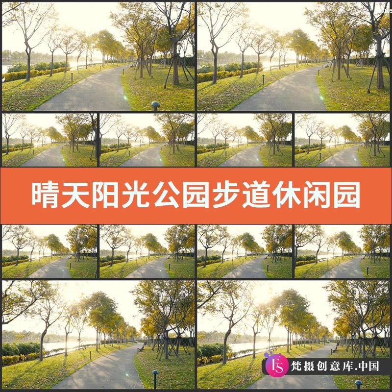 晴天阳光公园步道实拍视频素材休闲园林风景植物小路小道草坪绿化