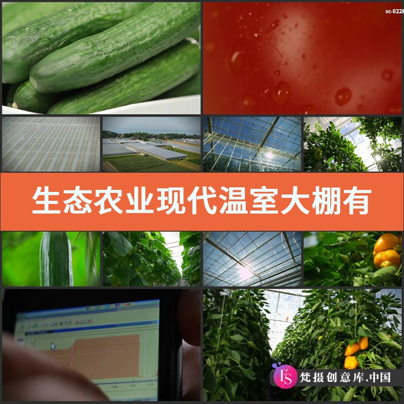 生态农业现代温室大棚有机栽培农产品蔬菜农作物高清实拍视频素材-梵摄创意库