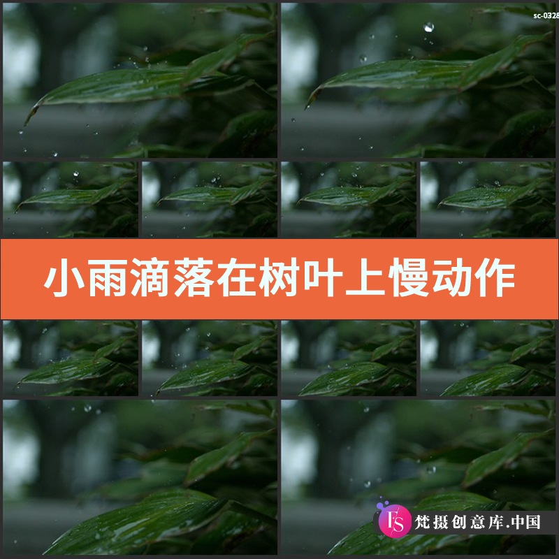 小雨滴落在树叶上慢动作延时视频素材雨水掉落绿叶子风景拍摄-梵摄创意库