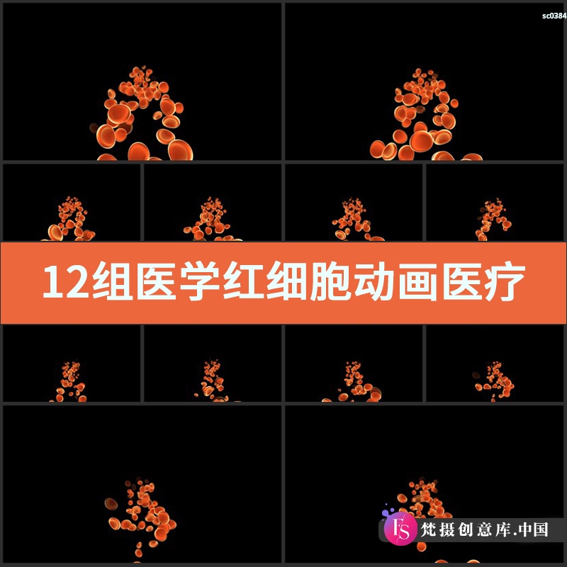 12组医学红细胞动画视频素材医疗动态背景体内血液分子红血球粒子