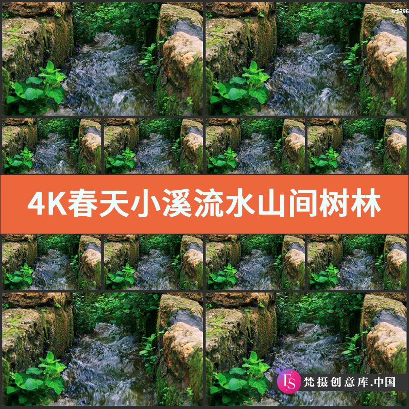 4K春天小溪流水山间树林草丛中小泉水 视频素材