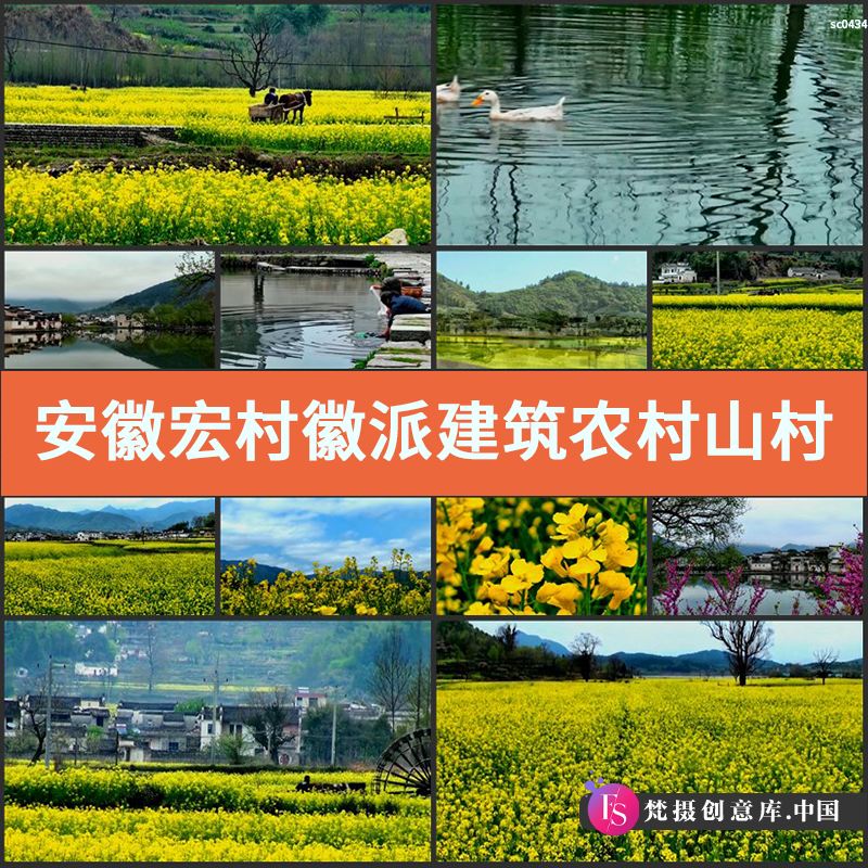 安徽宏村徽派建筑农村山村乡村徽州水中鸭群鸭子高清实拍视频素材-梵摄创意库