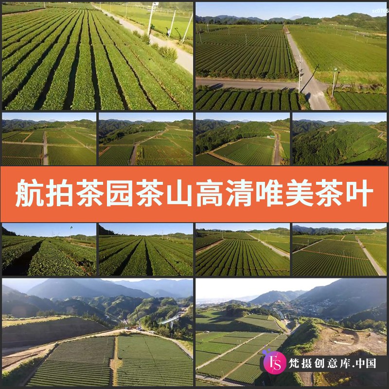 航拍茶园茶山高清实拍视频素材唯美茶叶农场风光片